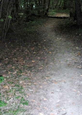 chemin