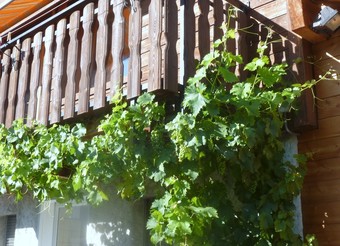 balcon
