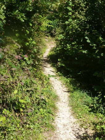 sentier