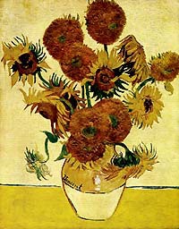 tournesol