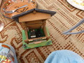 Logement d'abord