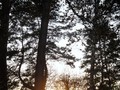 Extraits du site Association interjurassienne de prévention du suicide Résiste