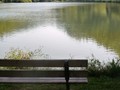 La dépression, première maladie chez les adolescents