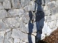 Enfant à haut potentiel (surdoué)