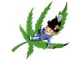 Le cannabis rend-il idiot?