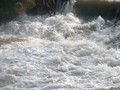 Un torrent de larmes