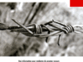 Torture et traumatismes: Diagnostic et traitement