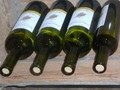 L'alcoolisme des seniors
