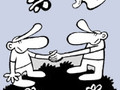 «Health Behaviour in School-aged Children»