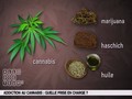Le pot déclencheur de schizophrénie chez les ados?