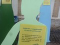 Solidarité des partenaires