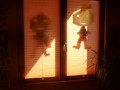 Des chercheurs japonais parviennent à décoder le contenu des rêves