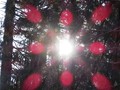 Les neurone de la spiritualité