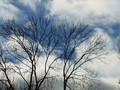 Les schizophrènes ont une vie