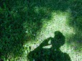 Les effets de la psychologisation sur les mentalités