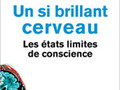 Un si brillant cerveau