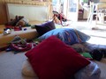 Qu'est-ce que le trouble oppositionnel avec provocation? - 
