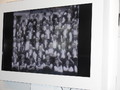 Peut-on souffrir des tragédies vécues par nos ancêtres ? (La psychogénéalogie)